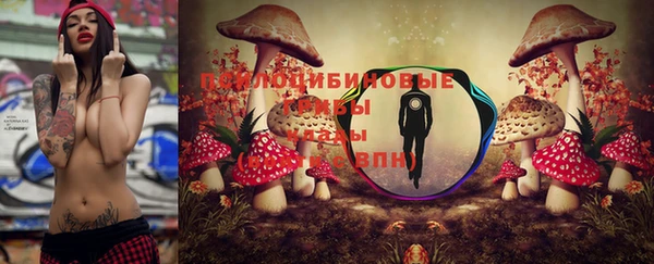 герыч Усолье-Сибирское